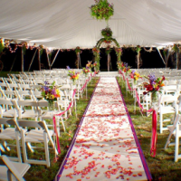 White Resin Wedding Chair thumbnail White Resin Wedding Chair thumbnail